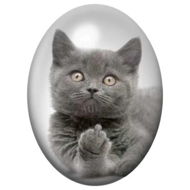 Cabochon en Verre Illustré Chaton Gris aux Pattes Croisées 13x18, 18x25 ou 30x40mm