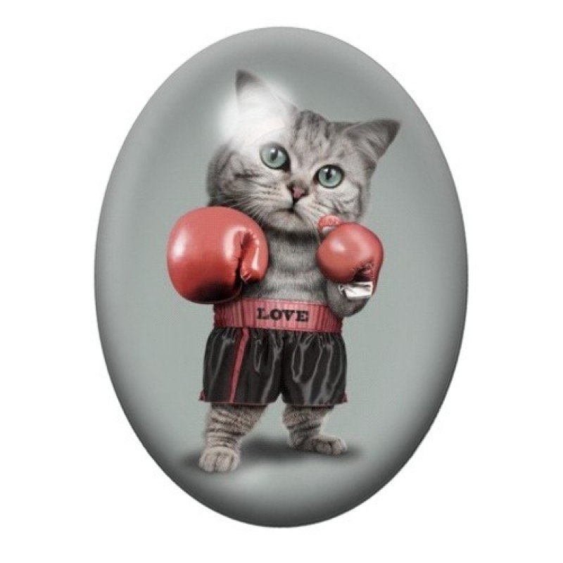 Cabochon en Verre Illustré Chat Boxeur aux Gants Rouges 13x18, 18x25 ou 30x40mm