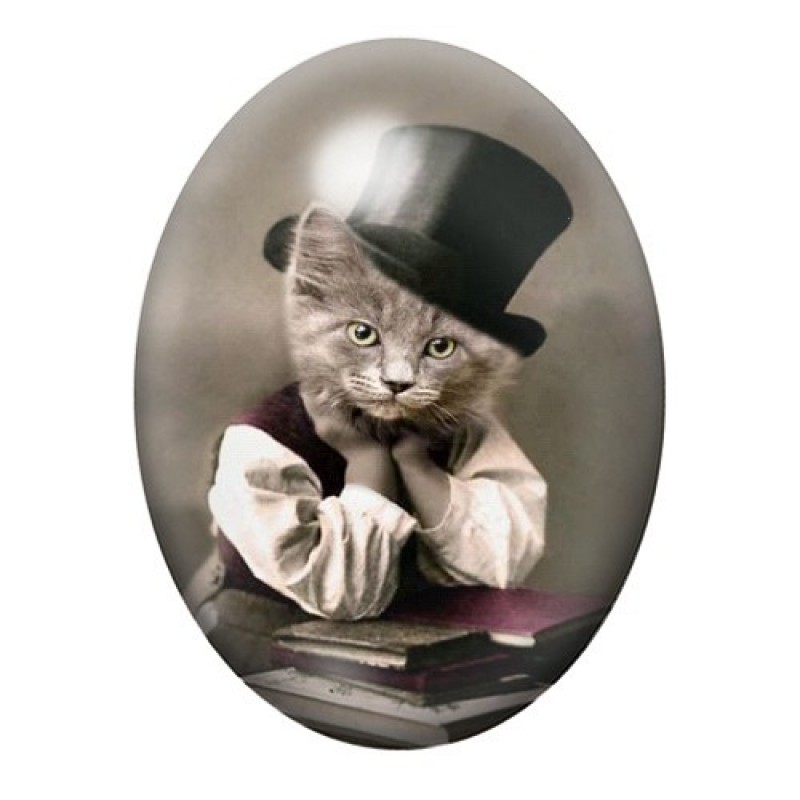 Cabochon en Verre Illustré Chat Erudit 13x18, 18x25 ou 30x40mm