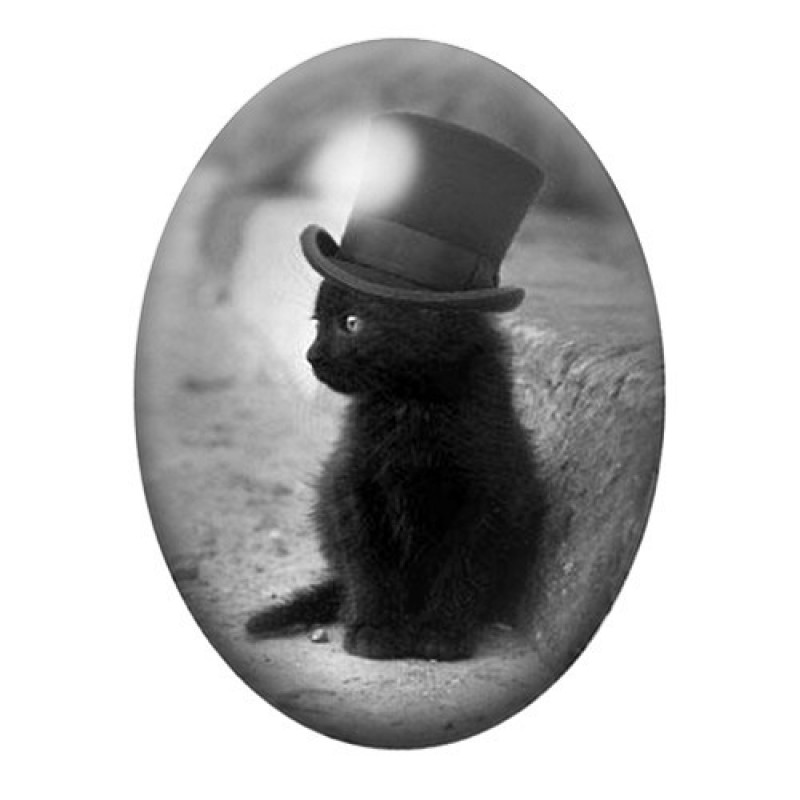 Cabochon en Verre Illustré Chaton Classe 13x18, 18x25 ou 30x40mm