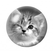 Cabochon en Verre Illustré Chat 12 à 25mm pour la Création de Bijoux Fantaisie - DIY