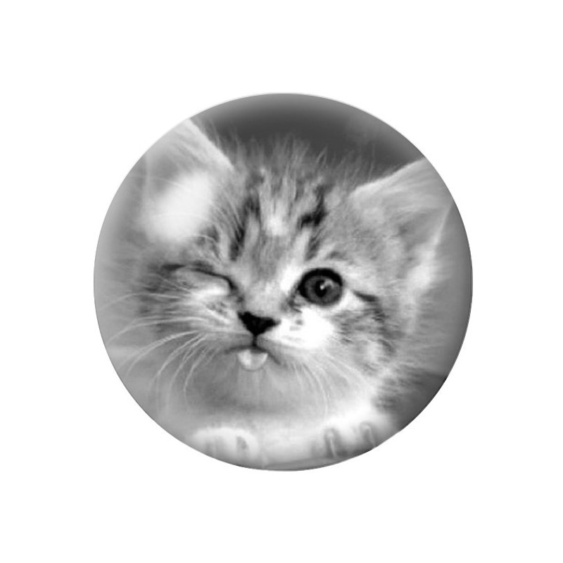 Cabochon en Verre Illustré Chat 12 à 25mm