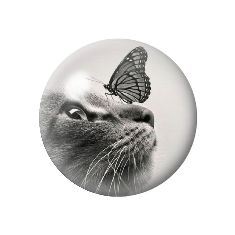 Cabochon en Verre Illustré Chat Papillon 12 à 25mm