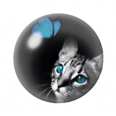 Cabochon en Verre Illustré Chat Papillon 12 à 25mm pour la Création de Bijoux Fantaisie - DIY
