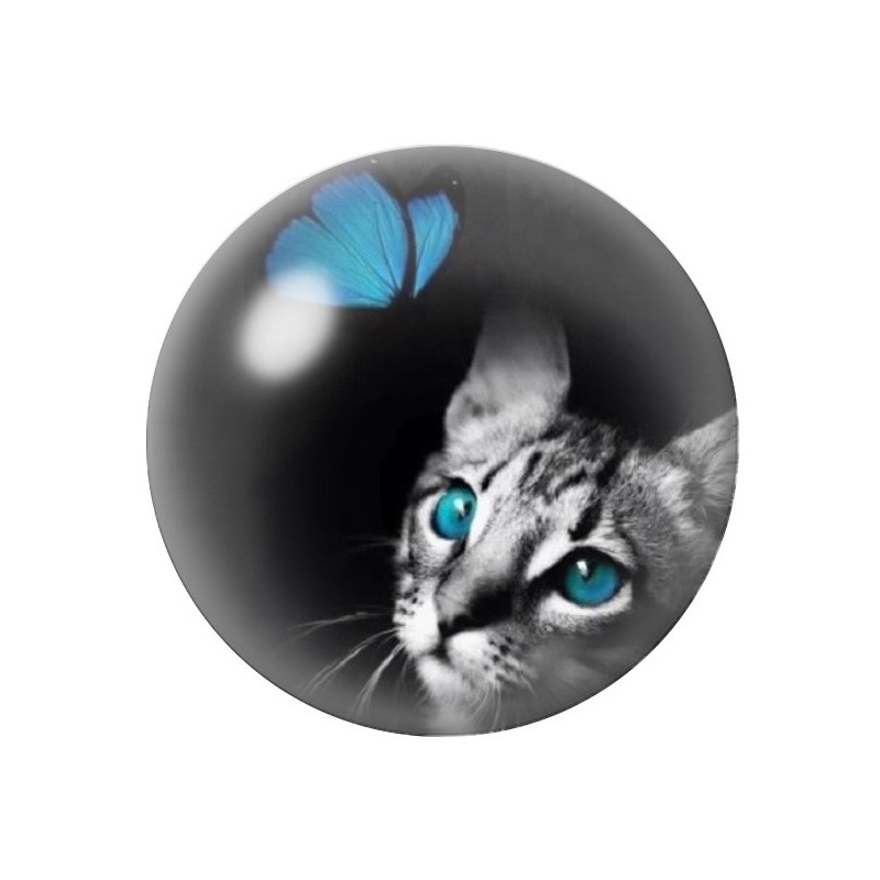 Cabochon en Verre Illustré Chat Papillon 12 à 25mm