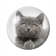 Cabochon en Verre Illustré Chat 12 à 25mm pour la Création de Bijoux Fantaisie - DIY