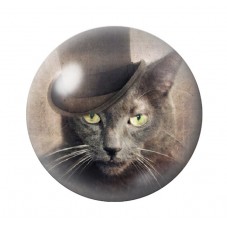 Cabochon en Verre Illustré Chat 12 à 25mm pour la Création de Bijoux Fantaisie - DIY