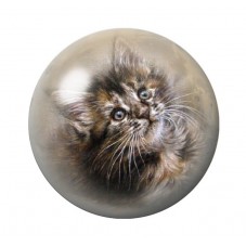 Cabochon en Verre Illustré Chat 12 à 25mm pour la Création de Bijoux Fantaisie - DIY