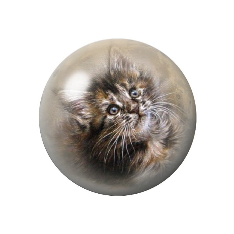Cabochon en Verre Illustré Chat 12 à 25mm