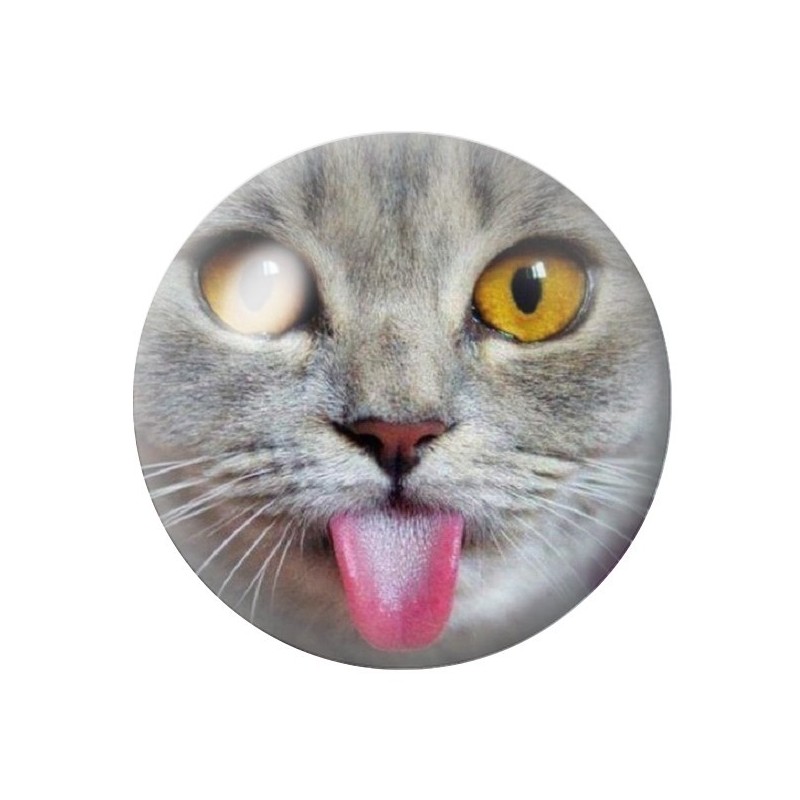 Cabochon en Verre Illustré Chat Insolent 12 à 25mm