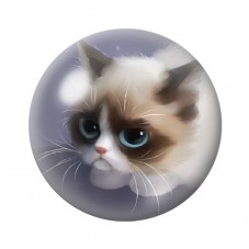Cabochon en Verre Illustré Chat Grumpy Cat 12 à 25mm pour la Création de Bijoux Fantaisie - DIY