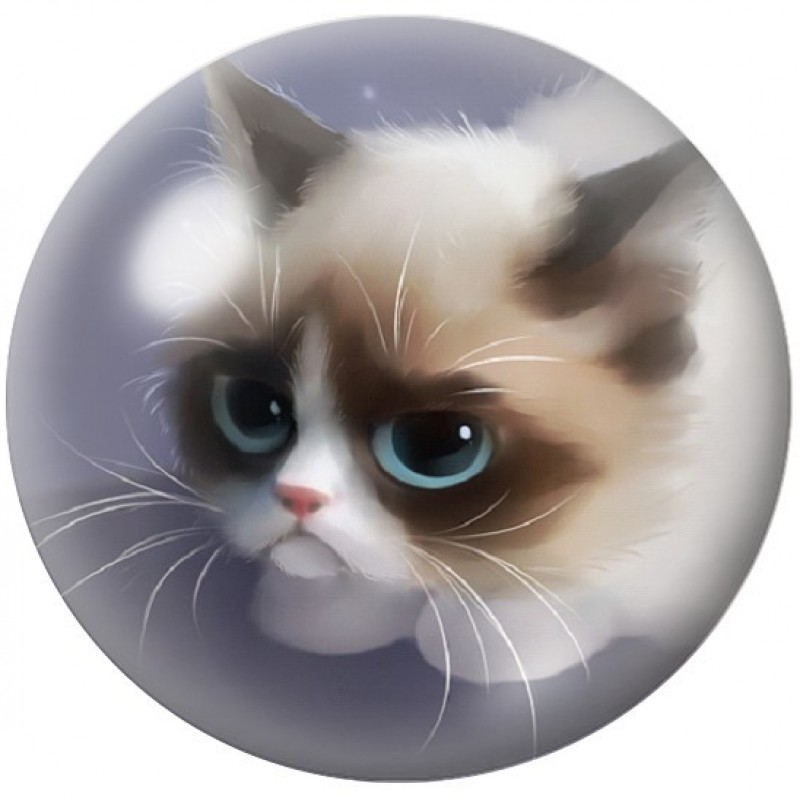 Cabochon en Verre Illustré Chat Grumpy Cat 12 à 25mm