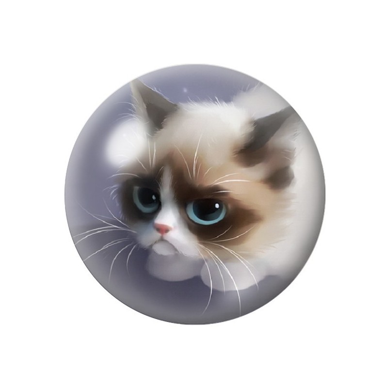 Cabochon en Verre Illustré Chat Grumpy Cat 12 à 25mm