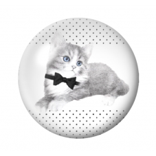 Cabochon en Verre Illustré Chat 12 à 25mm pour la Création de Bijoux Fantaisie - DIY