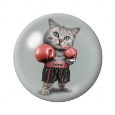 Cabochon en Verre Illustré Chat Boxeur 12 à 25mm pour la Création de Bijoux Fantaisie - DIY
