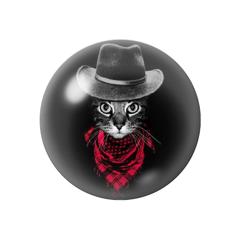 Cabochon en Verre Illustré Chat Bandit12 à 25mm