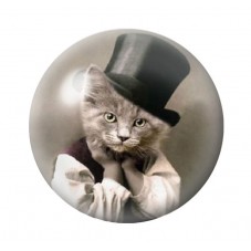 Cabochon en Verre Illustré Chat 12 à 25mm pour la Création de Bijoux Fantaisie - DIY