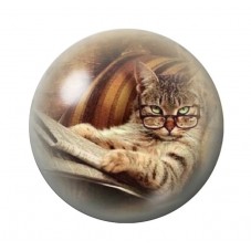 Cabochon en Verre Illustré Chat 12 à 25mm pour la Création de Bijoux Fantaisie - DIY