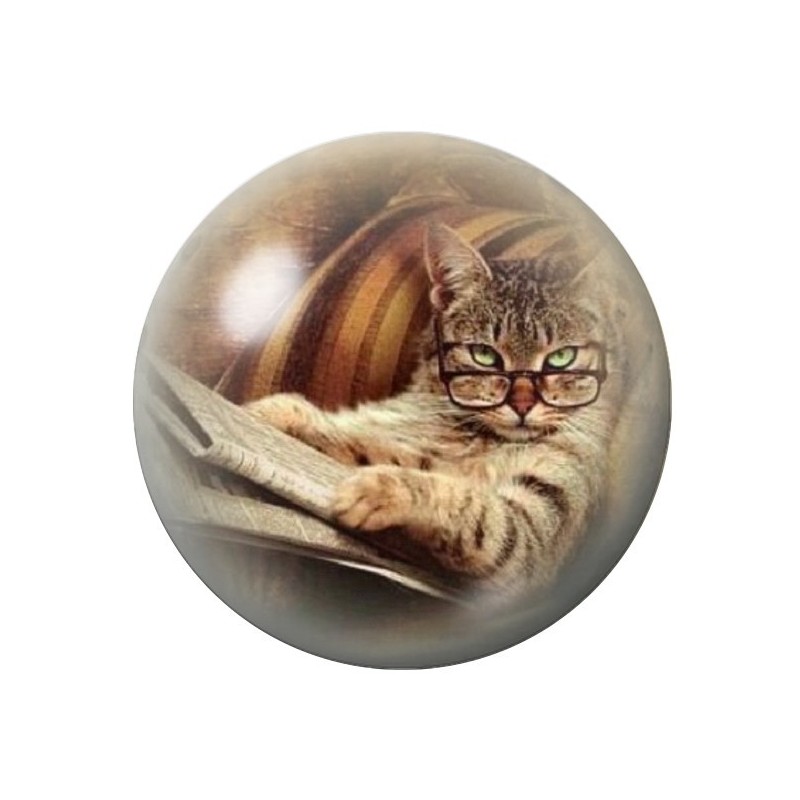Cabochon en Verre Illustré Chat 12 à 25mm