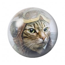 Cabochon en Verre Illustré Chat 12 à 25mm pour la Création de Bijoux Fantaisie - DIY