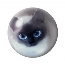 Cabochon en Verre Illustré Chat 12 à 25mm pour la Création de Bijoux Fantaisie - DIY