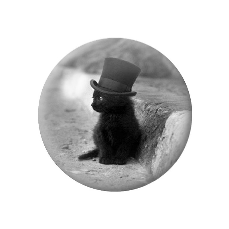 Cabochon en Verre Illustré Chat Classe Noir et Blanc 12 à 25mm