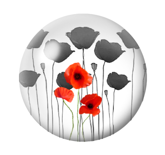 Cabochon en Verre Illustré Fleurs Coquelicots 12 à 25mm