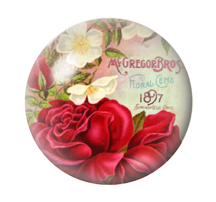 Cabochon en Verre Illustré Fleurs Roses Rouges 12 à 25mm