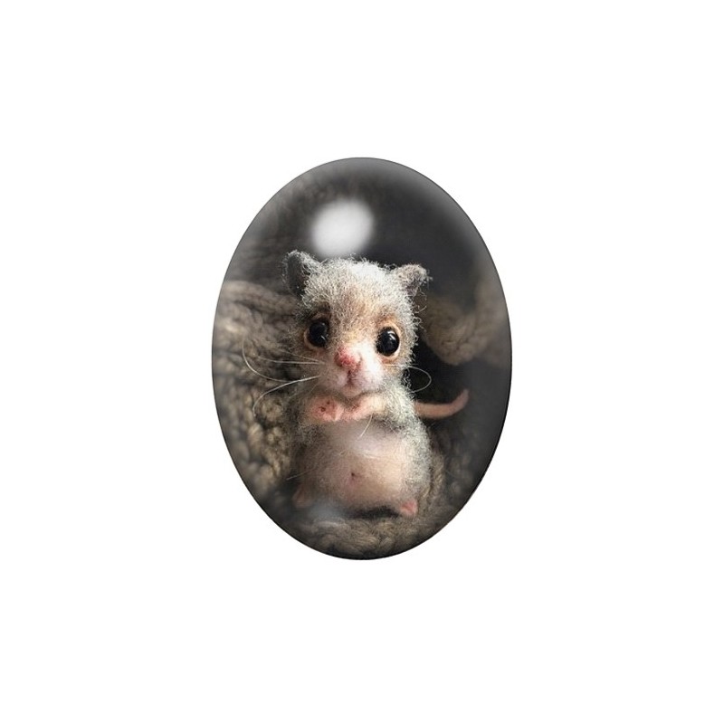 Cabochon en Verre Illustré Animaux Souris 13x18, 18x25 ou 30x40mm