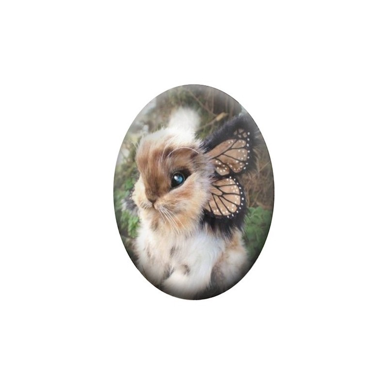 Cabochon en Verre Illustré Animaux Lapin 13x18, 18x25 ou 30x40mm