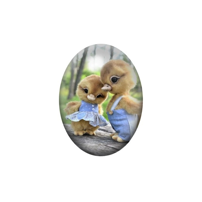 Cabochon en Verre Illustré Animaux Canard 13x18, 18x25 ou 30x40mm