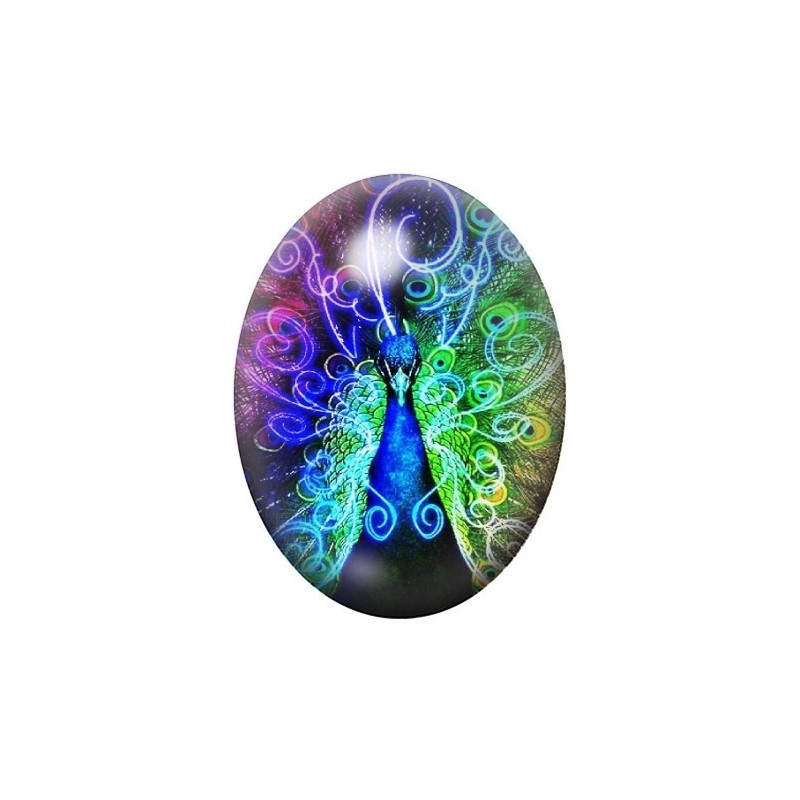 Cabochon en Verre Illustré Paon 13x18, 18x25 ou 30x40mm