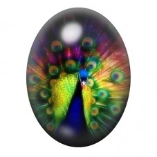 Cabochon en Verre Illustré Paon à la Roue Lumineuse 13x18, 18x25 ou 30x40mm pour la création de bijoux fantaisie - DIY