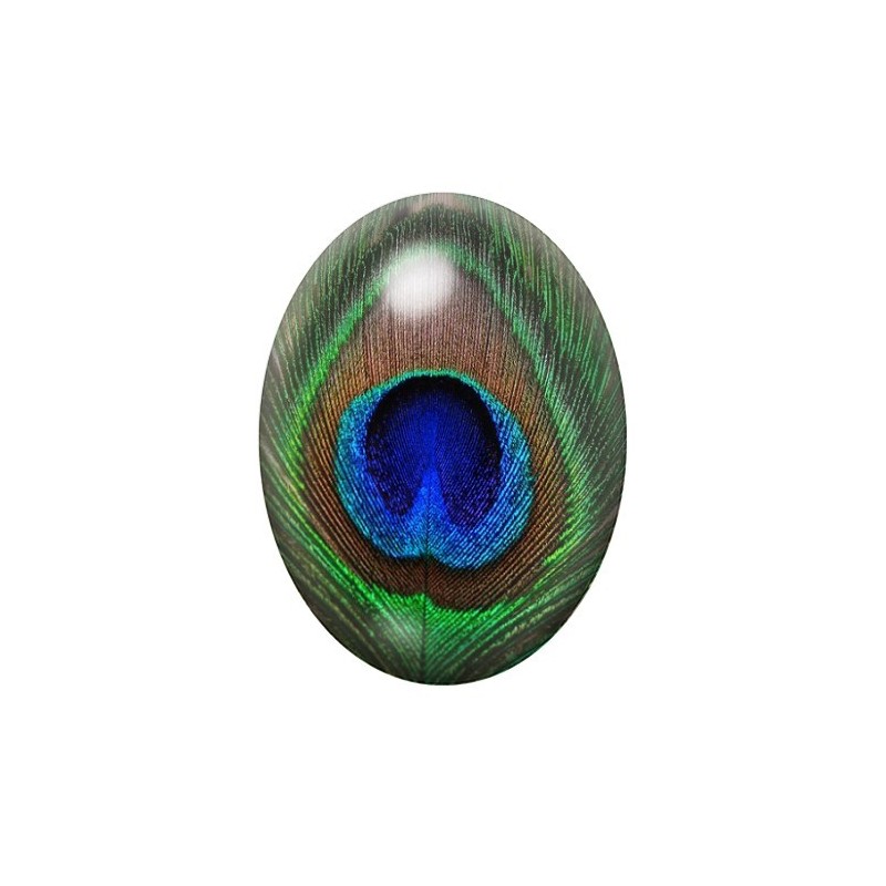 Cabochon en Verre Illustré Plume de Paon 13x18, 18x25 ou 30x40mm