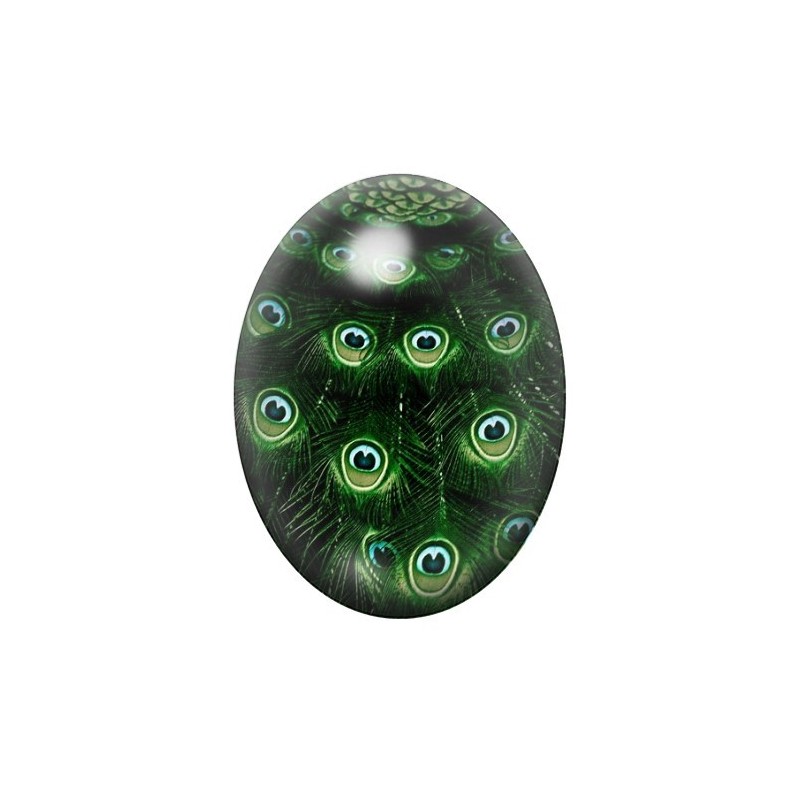 Cabochon en Verre Illustré Plume de Paon 13x18, 18x25 ou 30x40mm
