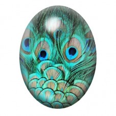 Cabochon en Verre Illustré Plumes de Paon Turquoise 13x18, 18x25 ou 30x40mm pour la création de bijoux fantaisie - DIY