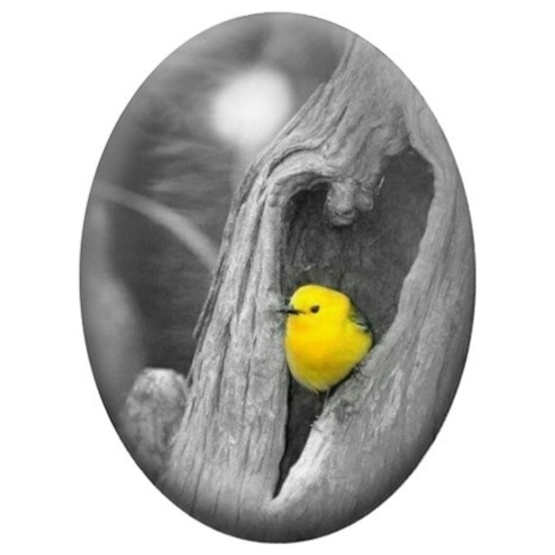 Cabochon en Verre Illustré Oiseau Jaune dans un Arbre Gris 13x18, 18x25 ou 30x40mm