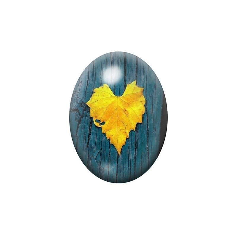 Cabochon en Verre Illustré Feuille 13x18, 18x25 ou 30x40mm