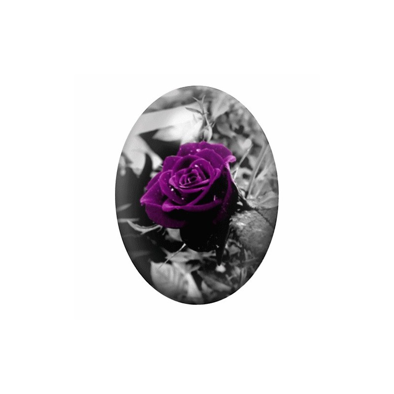 Cabochon en Verre Illustré Rose Fleur 13x18, 18x25 ou 30x40mm