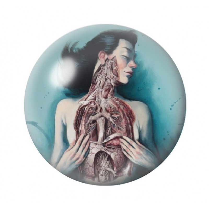 Cabochon en Verre Illustré Corps Humain Gothique 12 à 25mm