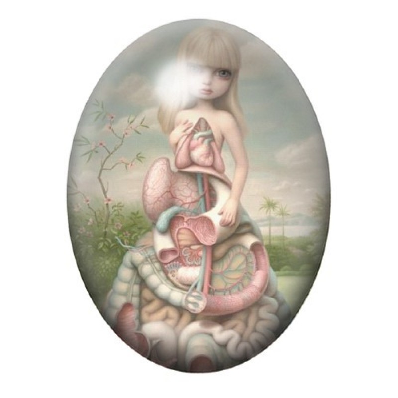 Cabochon en Verre Illustré Fille Robe Viscères Étrange 13x18, 18x25 ou 30x40mm
