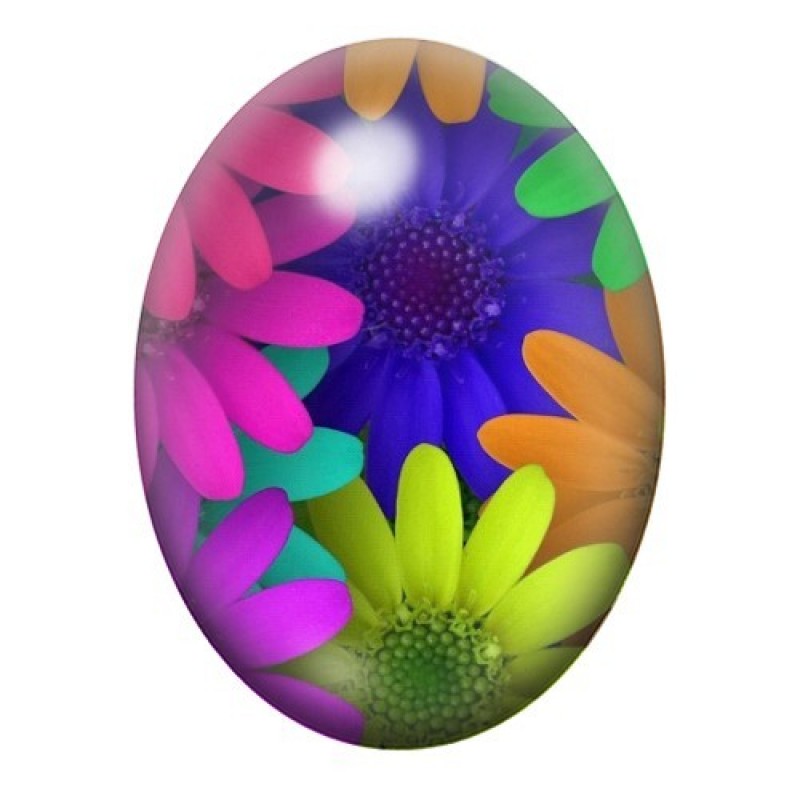 Cabochon en Verre Illustré Fleurs Colorés 13x18, 18x25 ou 30x40mm