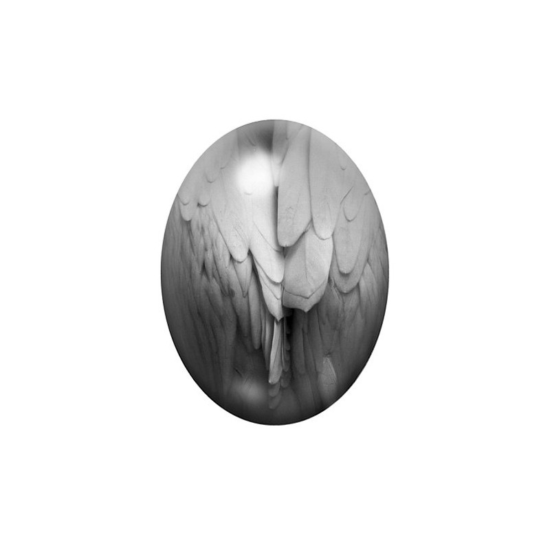 Cabochon en Verre Illustré Ailes d'Ange 13x18, 18x25 ou 30x40mm