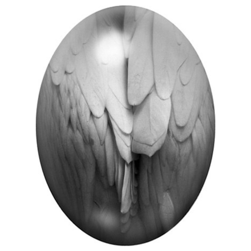 Cabochon en Verre Illustré Ailes d’Ange en Noir et Blanc 13x18, 18x25 ou 30x40mm