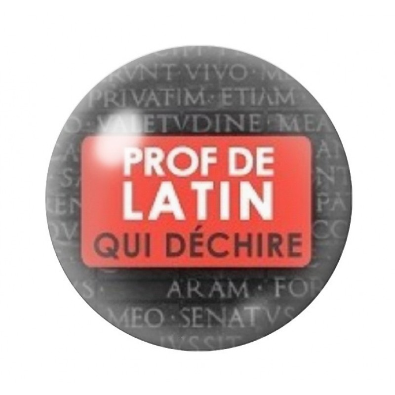 Cabochon en Verre Illustré "Prof de Latin qui Déchire" 12 à 25mm