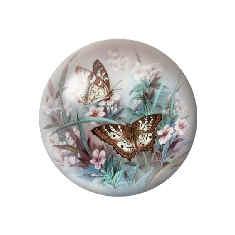 Cabochon en Verre Illustré Papillons 12 à 25mm