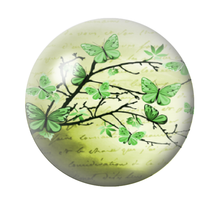 Cabochon en Verre Illustré Papillons 12 à 25mm