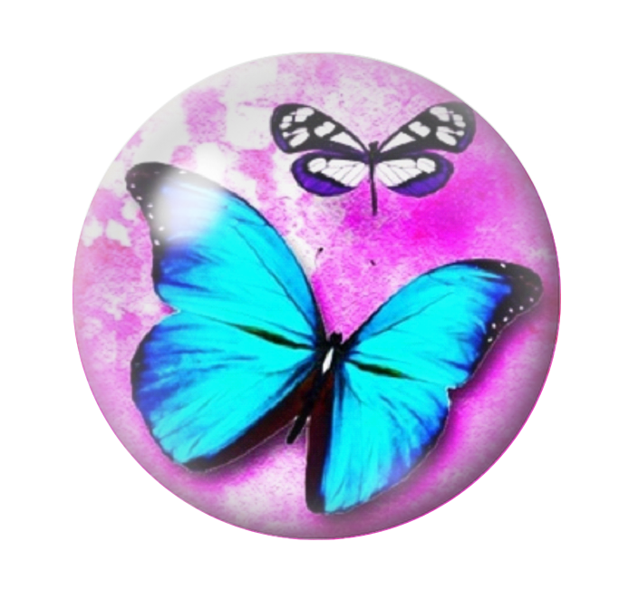 Cabochon en Verre Illustré Papillons 12 à 25mm