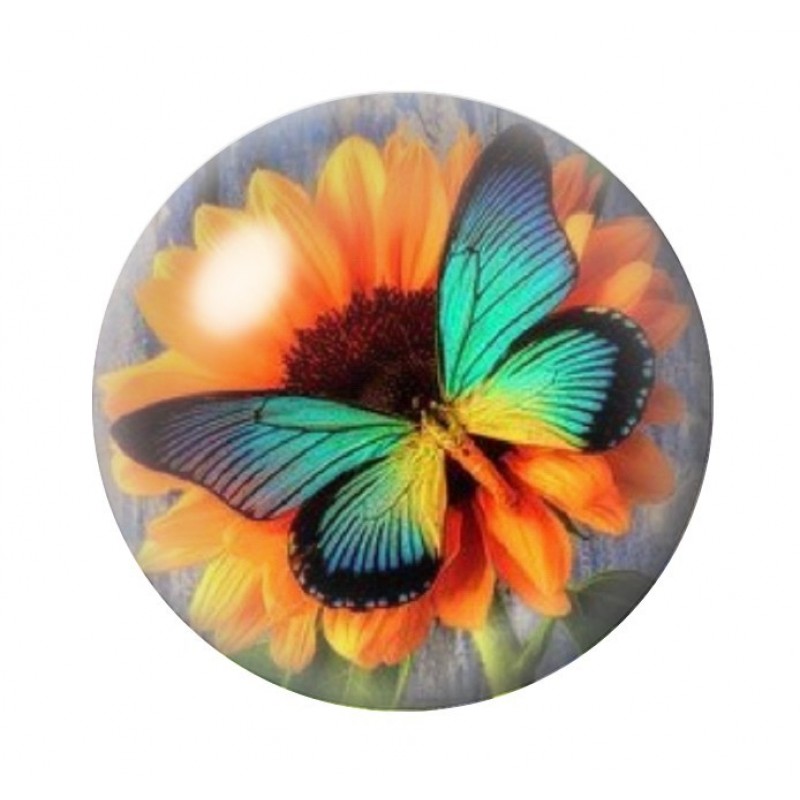 Cabochon en Verre Illustré Papillon 12 à 25mm