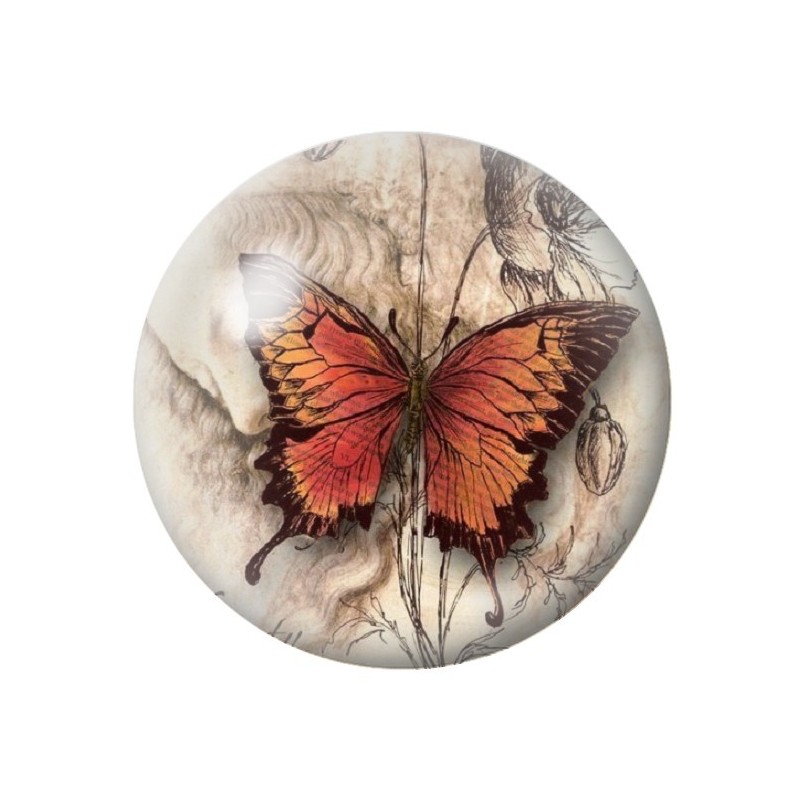 Cabochon en Verre Illustré Papillon 12 à 25mm